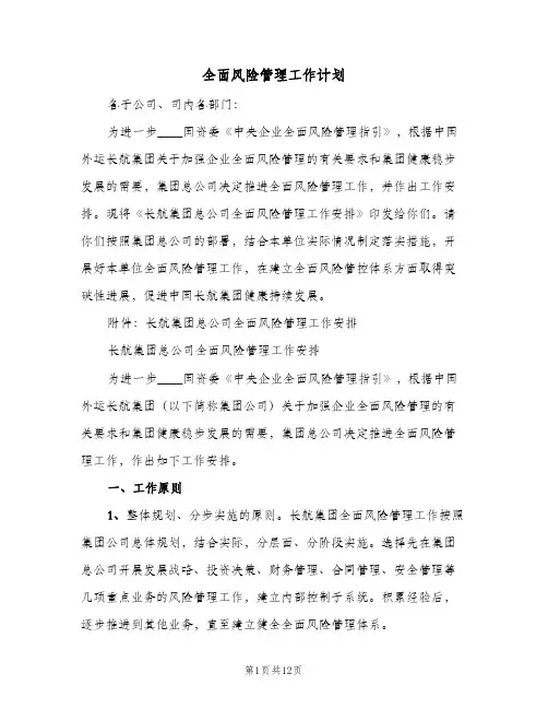 全面风险管理工作计划(2篇)