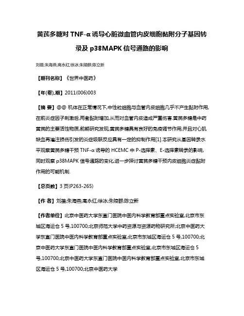 黄芪多糖对TNF-α诱导心脏微血管内皮细胞黏附分子基因转录及p38MAPK信号通路的影响