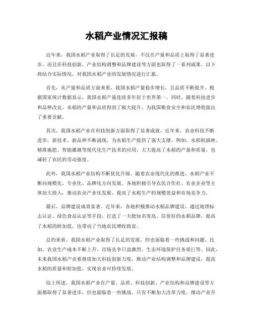水稻产业情况汇报稿