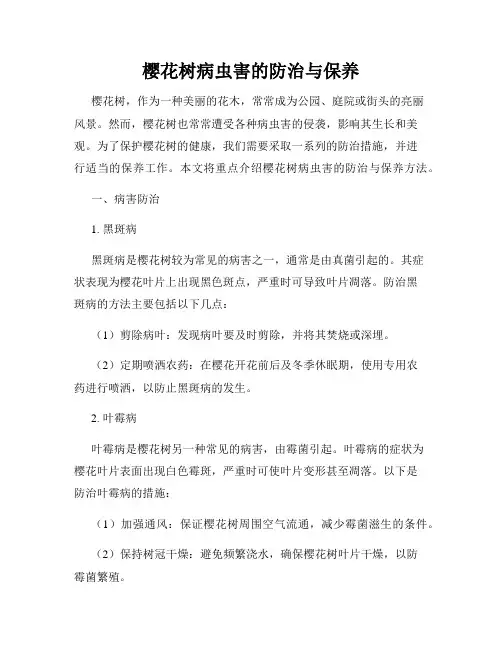 樱花树病虫害的防治与保养