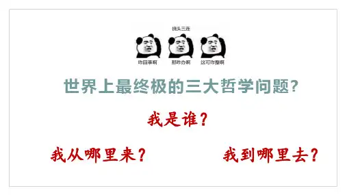 最新统编版语文八年级上册第16课《散文二篇——永久的生命》课件(共31张PPT)