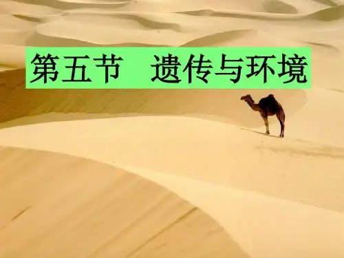 生物八年级上册20章5节遗传和环境课件北师大版