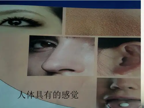 七年级科学上册第11章感知与协调11.1生物的感觉人体具有的感觉教学课件牛津上海版