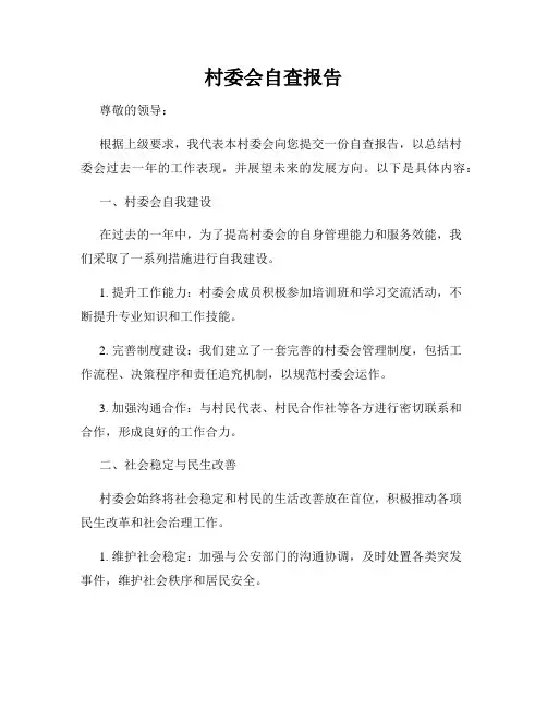 村委会自查报告