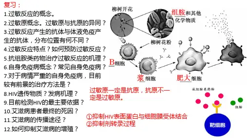 免疫学的应用课件-高二上学期生物人教版选择性必修1