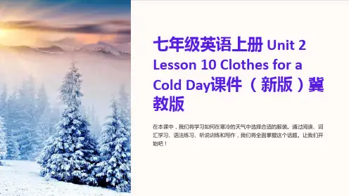 七年级英语上册 Unit 2 Lesson 10 Clothes for a Cold Day课件 