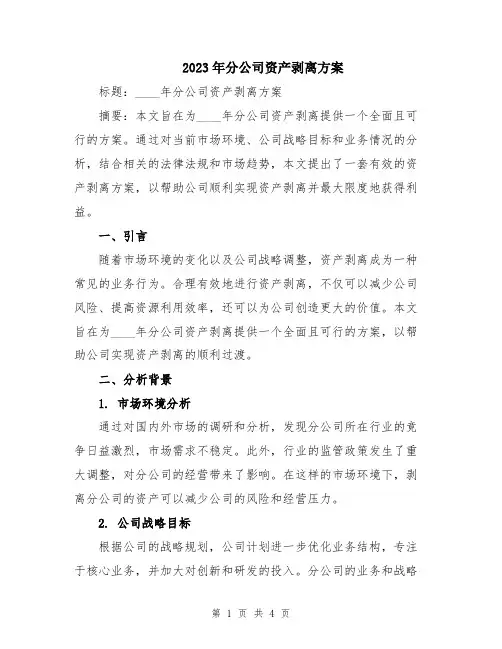 2023年分公司资产剥离方案