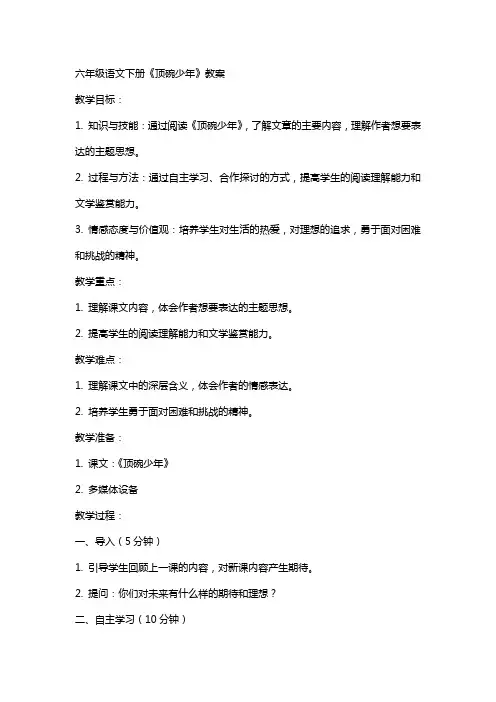 六年级语文下册教案顶碗少年