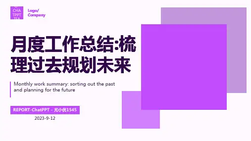 销售月度工作汇报总结PPT模板