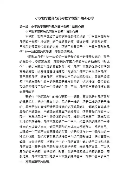 小学数学图形与几何教学专题”培训心得