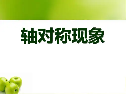 《轴对称现象》课件1