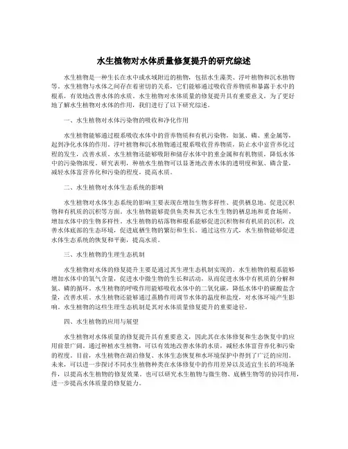 水生植物对水体质量修复提升的研究综述