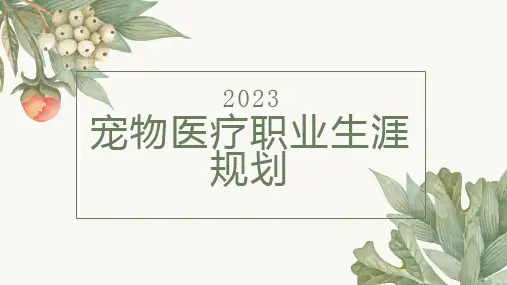 宠物医疗职业生涯规划(修订)