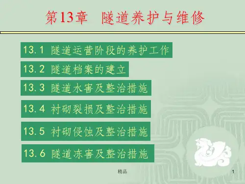 隧道养护与维修ppt课件