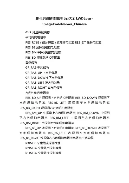 斯伦贝谢随钻测井代码大全LWDLogs-ImageCodeNames_Chinese