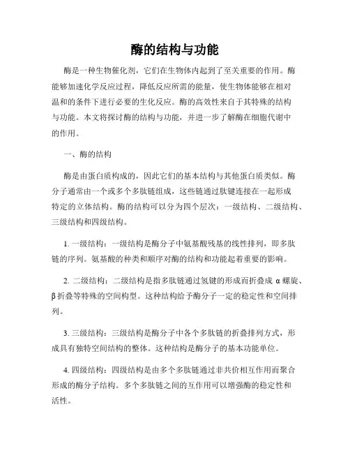 酶的结构与功能
