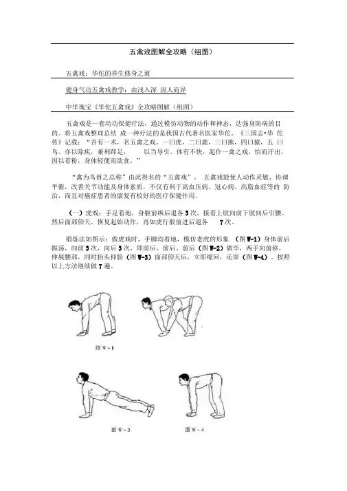 完整版五禽戏图解全攻略组图