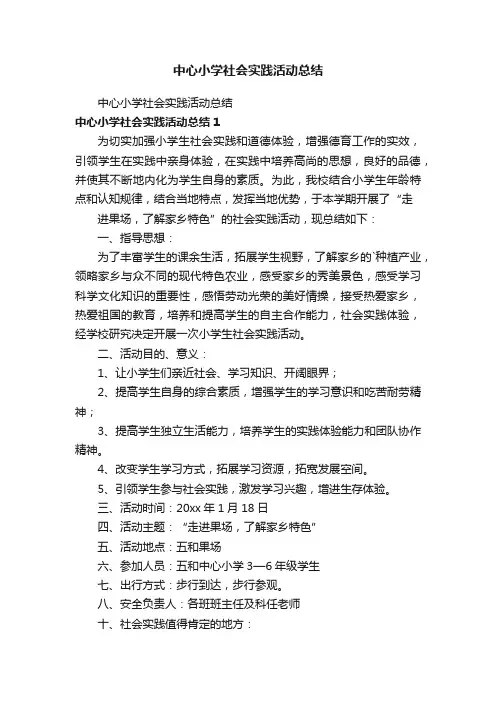 中心小学社会实践活动总结