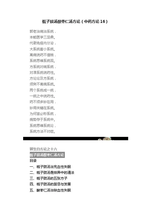 栀子豉汤酸枣仁汤方论（中药方论16）