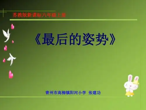 最后的姿势_张建功
