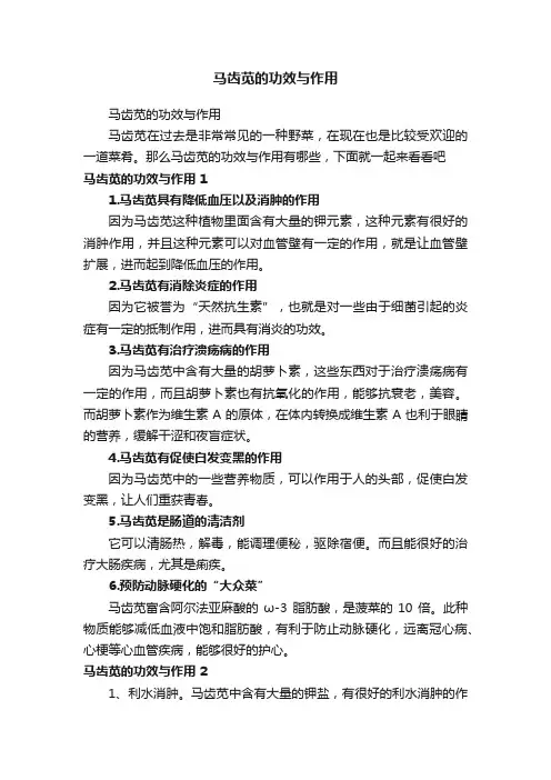 马齿苋的功效与作用