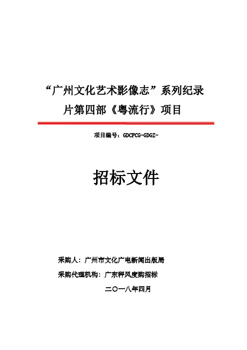 广州文化艺术影像志系列纪录片第四部粤流行项目