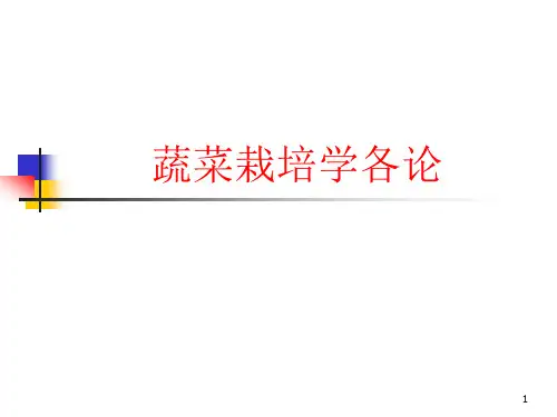 大白菜栽培剖析