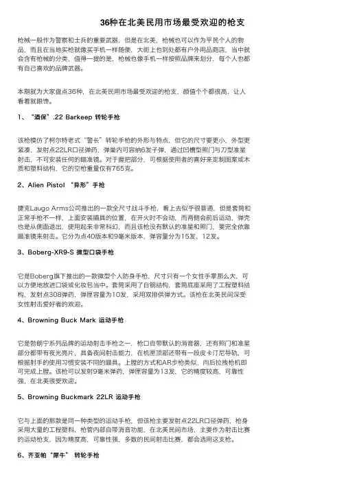 36种在北美民用市场最受欢迎的枪支