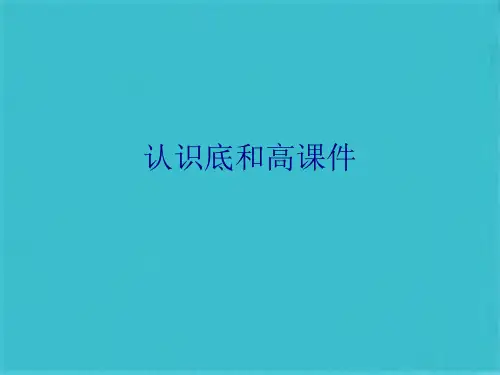 认识底和高(共10张PPT)