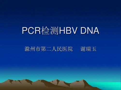 PCR检测HBV DNA - 滁州中心血站