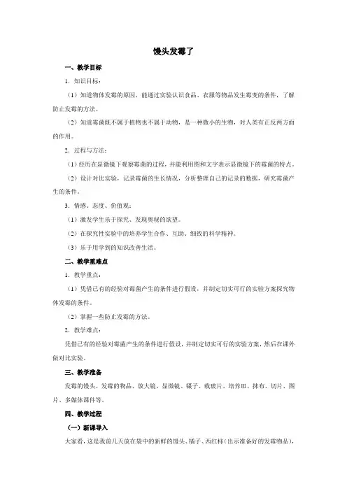 小学科学《馒头发霉了》优质教案 教学设计