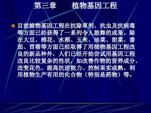 植物基因工程