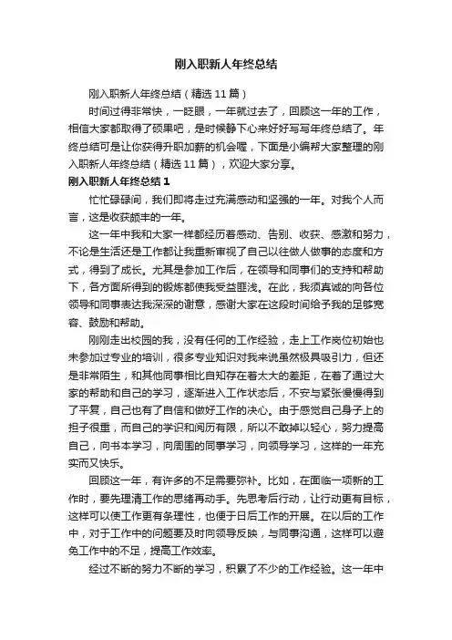 刚入职新人年终总结（精选11篇）