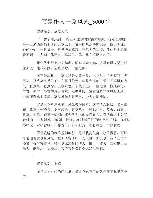 写景作文一路风光_3000字