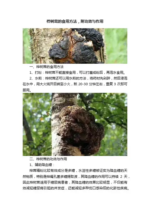 桦树茸的食用方法，附功效与作用