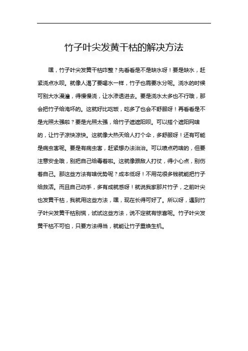 竹子叶尖发黄干枯的解决方法
