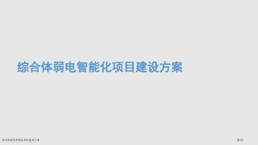 综合体弱电智能化项目建设方案