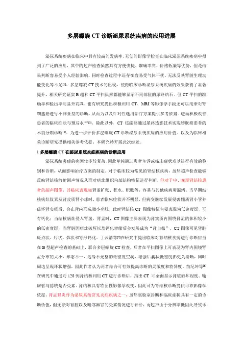 多层螺旋CT诊断泌尿系统疾病的应用进展
