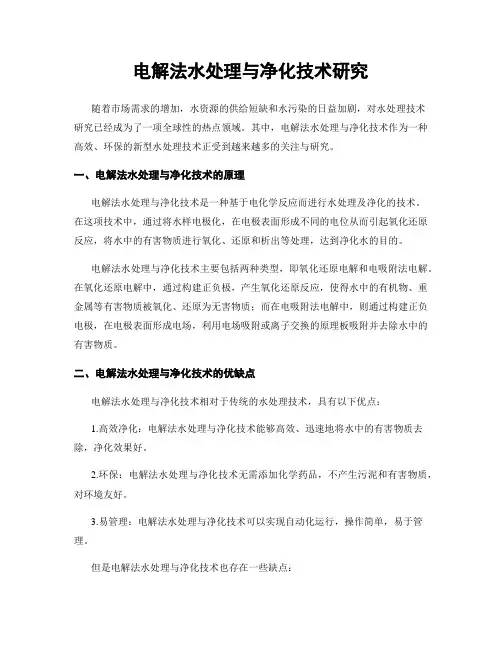 电解法水处理与净化技术研究