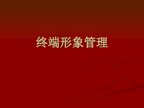 终端形象管理 PPT课件