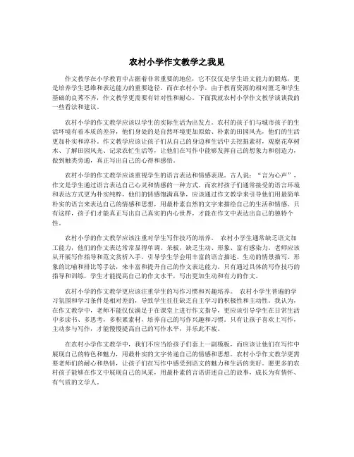 农村小学作文教学之我见