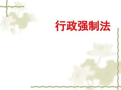行政强制法概述(PPT 95页)