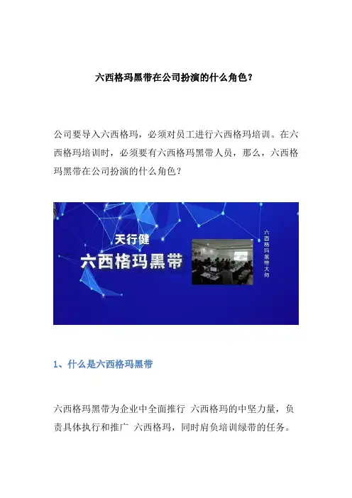 六西格玛黑带在公司扮演的什么角色？