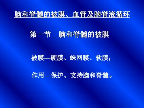 《脑和脊髓的被膜》