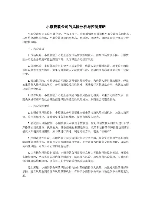 小额贷款公司的风险分析与控制策略