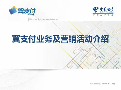 翼支付业务介绍