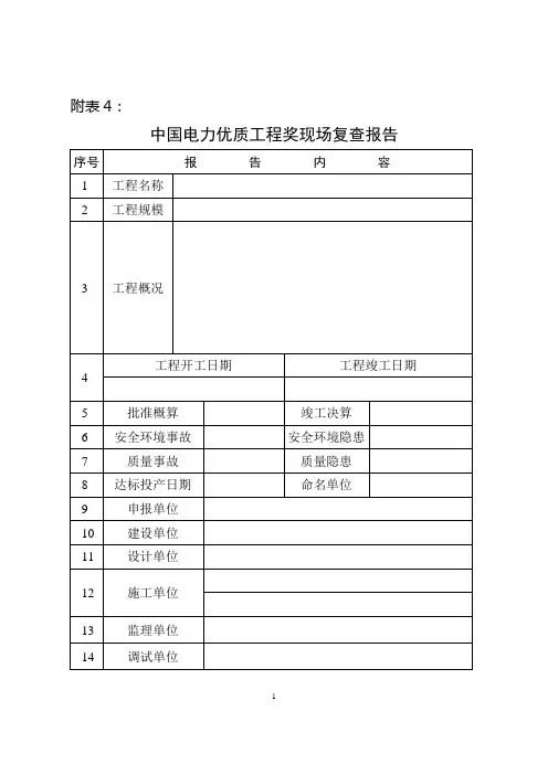 中国电力优质工程复查报告(2010年)