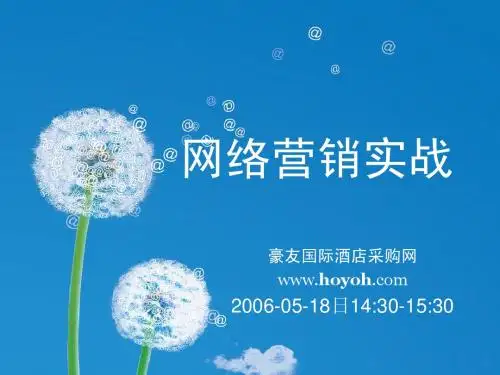 网络营销实战(PPT)