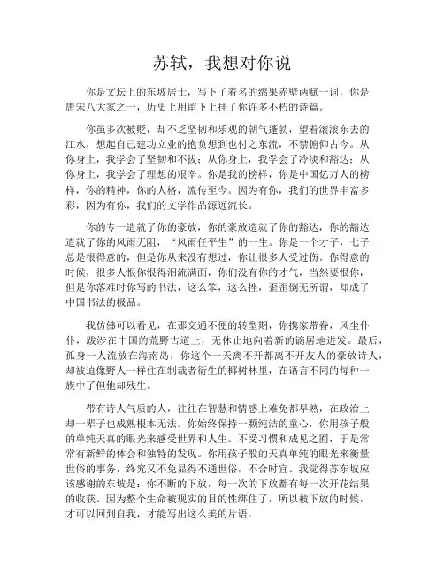苏轼,我想对你说