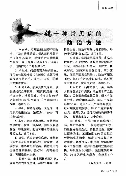 鸽十种常见病的防治方法